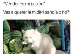 Enlace a ¿La quieres o no?