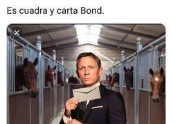 Enlace a La tontería del día
