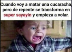 Enlace a ¡Voy a morir!