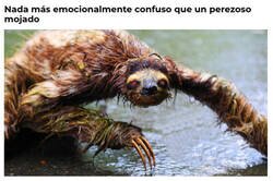 Enlace a ¿Pero qué diablos...?