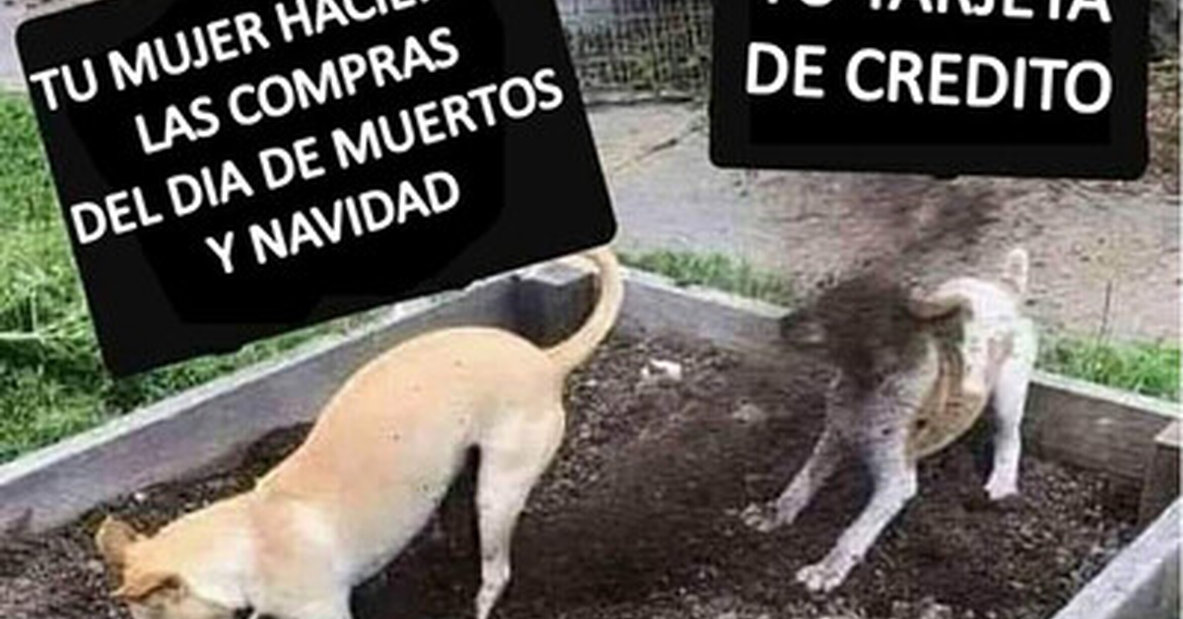 Cuánto cabrón / Compras compulsivas