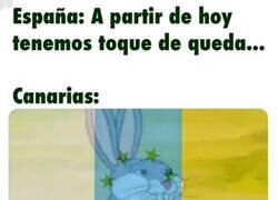 Enlace a El asunto no va con ellos