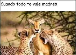 Enlace a Cuando ya todo te da igual