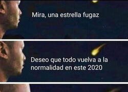 Enlace a Ah, shit...