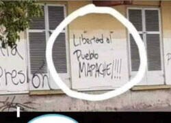 Enlace a Solidaridad con el colectivo mapache