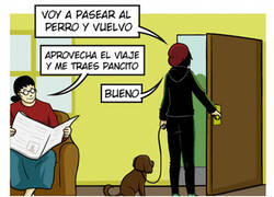 Enlace a Sí... pasear al perro...