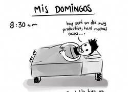 Enlace a Un domingo cualquiera