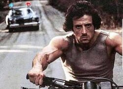 Enlace a Silvester no está alone