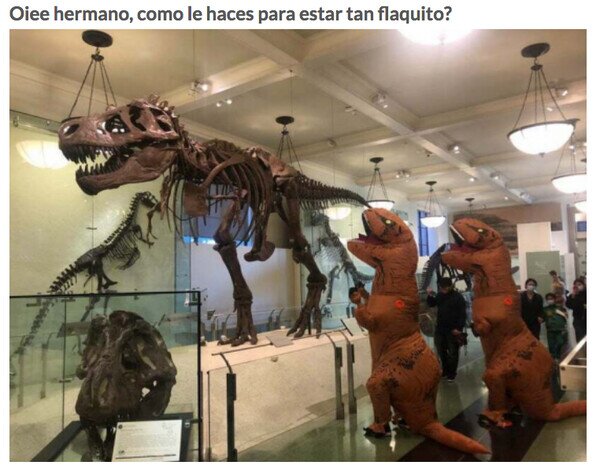 Meme_otros - Dános un dinoconsejo