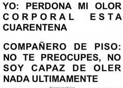 Enlace a Aíslen ese piso...