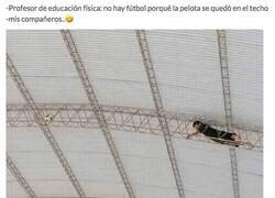 Enlace a Todo por el furbito