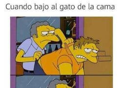 Enlace a Siempre vuelve al punto de partida