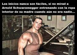 Enlace a Los inicios nunca son fáciles...
