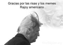 Enlace a Gracias y hasta nunca