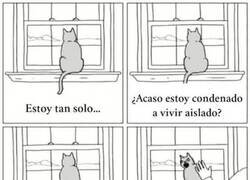 Enlace a Tan solitarios como ariscos
