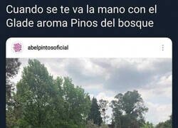 Enlace a Pero se queda un ambiente tan fresco...