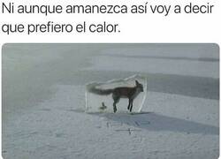 Enlace a Efectos secundarios de la llegada del invierno