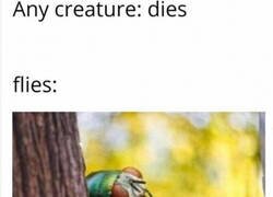 Enlace a ¡Llegó mi momento!