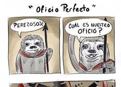 Enlace a Y por eso la película no fue protagonizada por perezosos