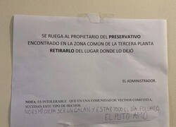 Enlace a Cuando eres vecino del Sr. Puto Amo