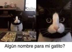 Enlace a Solo respuestas incorrectas