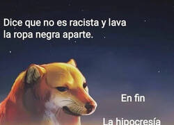 Enlace a En fin, la hipocondríaca...