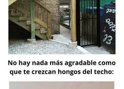 Enlace a Personas que compartieron las chapuzas de sus pisos