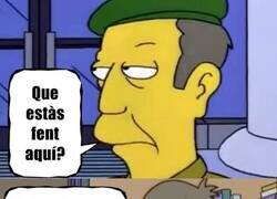 Enlace a Ley Celaa en Cataluña...