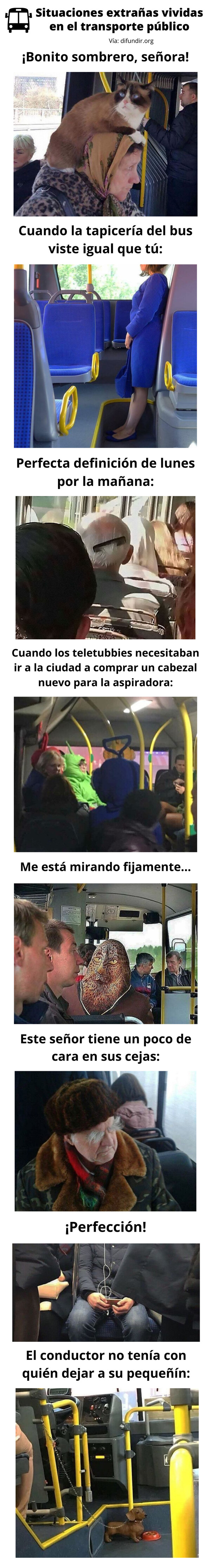 Meme_otros - Situaciones extrañas vividas en el transporte público