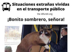 Enlace a Situaciones extrañas vividas en el transporte público