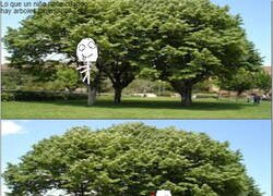 Enlace a El punto de vista cambia