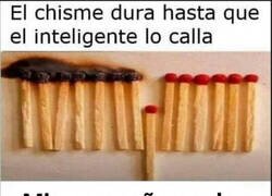 Enlace a Son una panda de cotillas