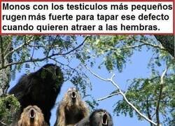 Enlace a Ahora se entiende todo