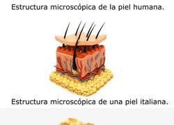 Enlace a Piel de Italia