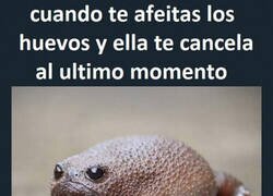 Enlace a Se quedan así de tristes