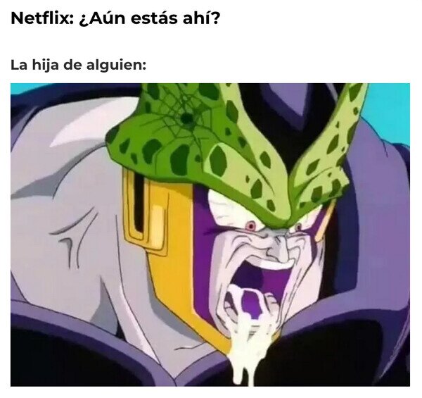 Meme_otros - Cuando Netflix pregunta...