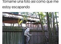 Enlace a Escape casual