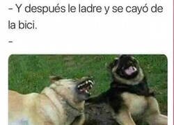 Enlace a Se rien de nosotros