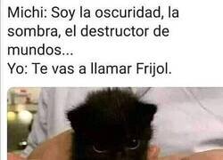 Enlace a Cuando eres la penumbra hecha gato