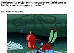 Enlace a Buscando nativos del latín