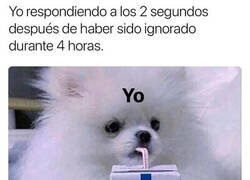 Enlace a Si es que no aprendo...