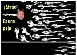 Enlace a Así nació DiCaprio