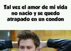 Enlace a Ahora lo entiendo todo