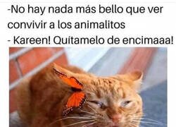 Enlace a Naturaleza en estado puro