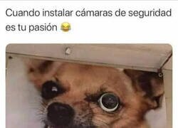 Enlace a Me ha costado verla