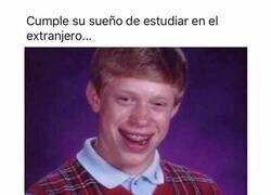 Enlace a Maldita pandemia