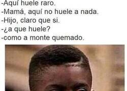 Enlace a Aquí se ha fumao'