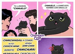 Enlace a Toda mascota tiene sus cientos de apodos