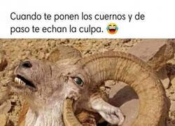 Enlace a Cuernos con carga de culpabilidad