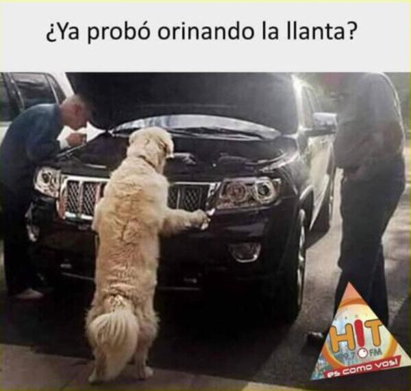 Meme_otros - El perro mecánico